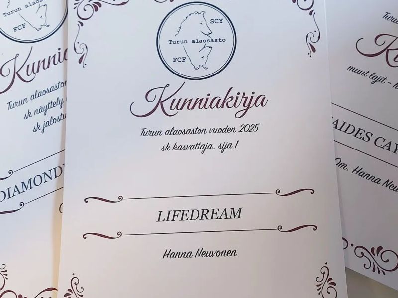 Lifedream Scyn Turun alaosaston vuoden 2025&nbsp;kasvattaja