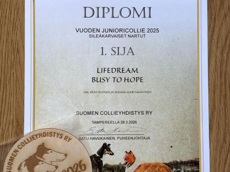 Irma Scyn vuoden 2025&nbsp;junioricollie!